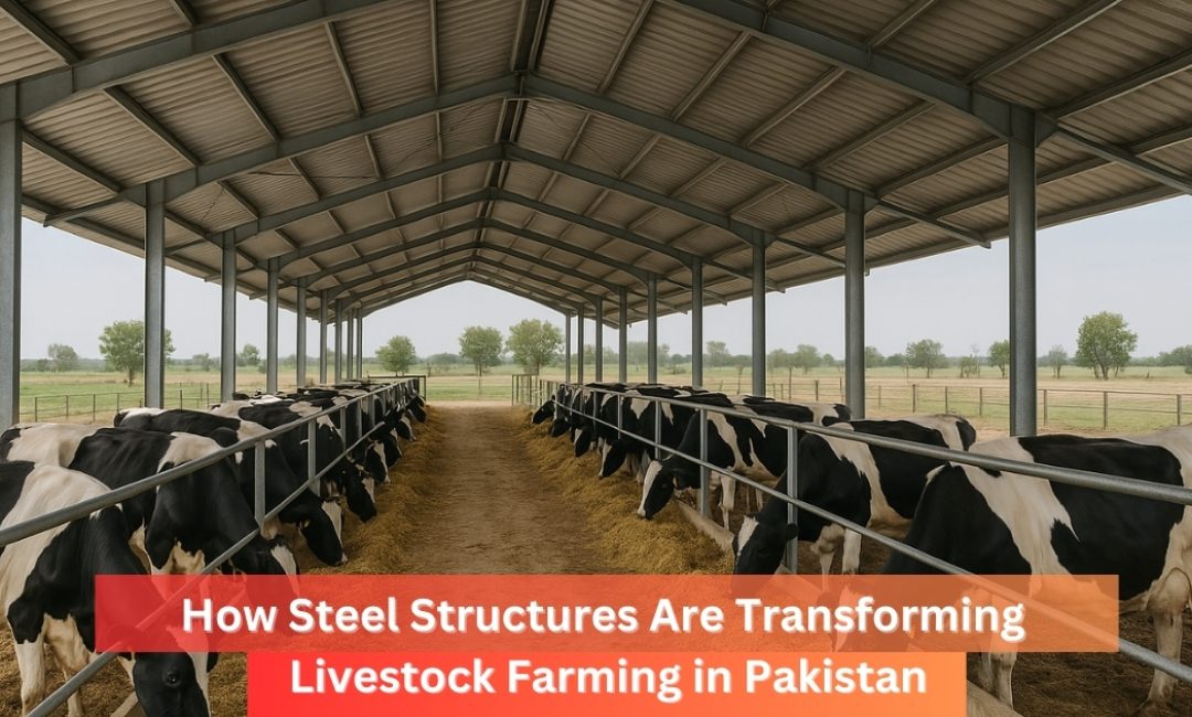 How Steel Structures Are Transforming Livestock Farming in Pakistan